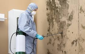 Best HVAC Mold Inspection and Cleaning  in Sam Rayburn, TX